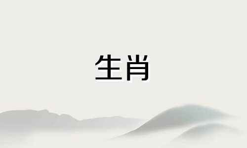 生辰八字属相婚配查询软件 免费版