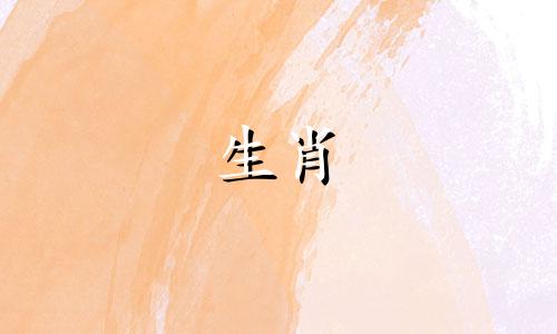 属龙的人与哪些属相相冲或相克,以及与哪些属相相生?