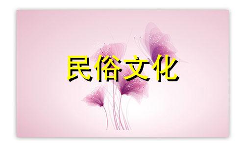 想了解如何学习算命和风水的知识。