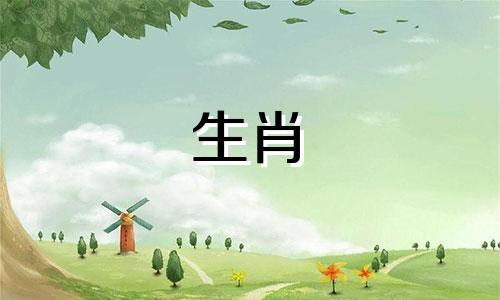 十二生肖详尽婚配指南：男女配对详解