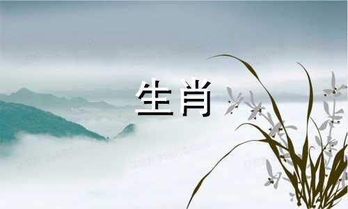 女属龙的最佳婚配属相是什么？女生属龙的和什么属相最配？女性属龙的属相婚配表