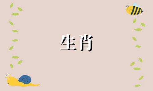 关于动画片《十二生肖守护神》的变装视频