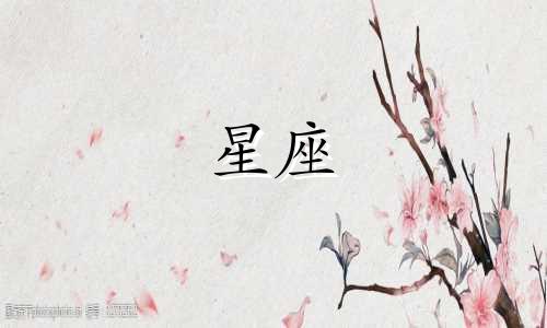 阳历的12月24日是什么星座？