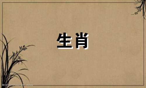 十二生肖的来历：鸡在中国传统文化中，十二生肖是一个重要的组成部分，它们分别对应着十二个地支，按照顺序依次