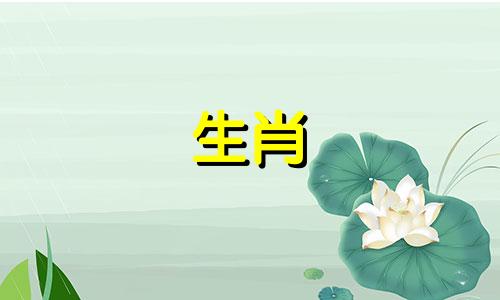 1996年出生的属鼠女性最匹配的生肖是什么？