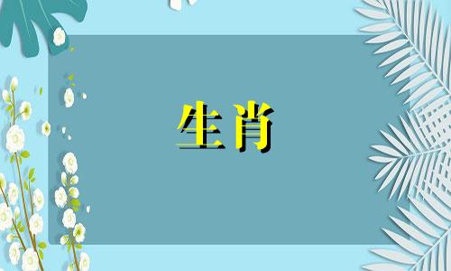 红颜祸水最佳生肖属相配对 红颜挑水展气魄打一生肖可以改写为：