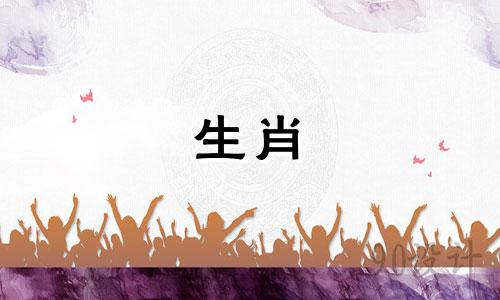 如何根据属相顺序表对年龄进行排序 十二生肖的顺序及其对应的年龄计算方法