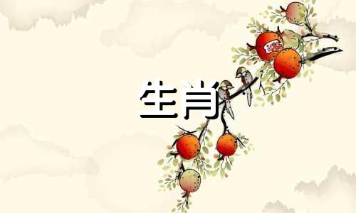 属猪人的生肖配对与婚配指南