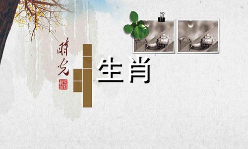 哪个属相与狗的配对最为理想 对于属狗的人来说，最佳的配偶属相是什么？