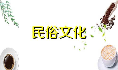 全面解析招财开运风水知识:掌握招财风水布局的策略与关键要素