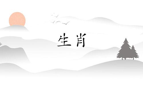 73年属牛男士的最佳合作伙伴生肖是什么？哪些生肖与属牛人合作最为合适？