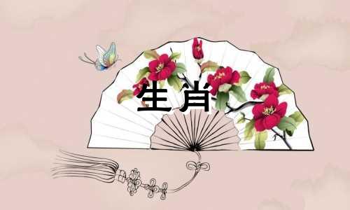 属蛇人的十二生肖婚配指南：探索与哪些生肖最为契合