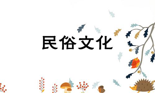 查询儿童生辰八字与五行命理 新生儿出生八字分析，了解如何进行生辰八字查询