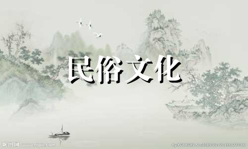 全面解析家居风水知识体系：禁忌与实用指南视频全集