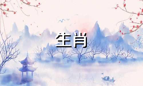 211年属兔的九星运势分析与化解策略