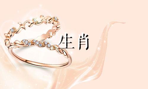 属狗的人与属鼠的人可以结婚吗？他们的属相是否相配呢？