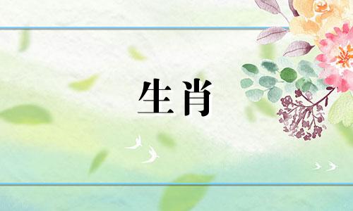 十二生肖神坛排名图表 12生肖的排名榜