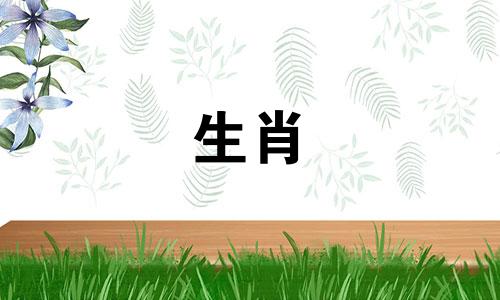 1998年属兔人的最佳婚配属相表