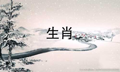 十二生肖最佳配对表格图片