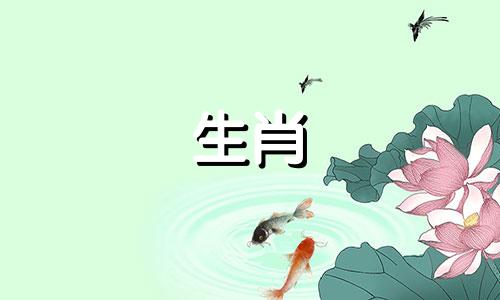 属兔的男性与属蛇的女性在生肖配对中的相合性探讨 分析男兔与女蛇的属相是否和谐，