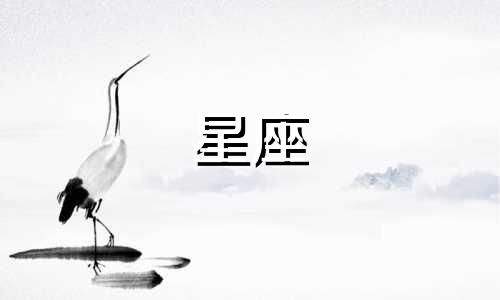 公历12月4日对应的星座是什么？