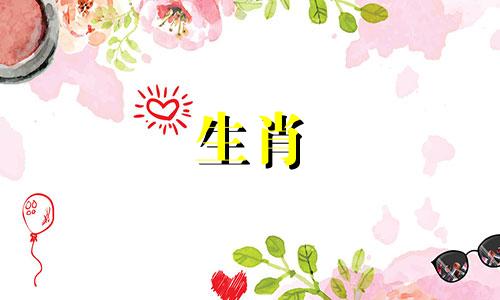 探寻2022年生肖虎宝贝的温馨昵称——既可爱又乖巧