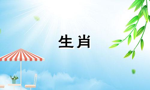 属相配对是指根据男孩出生年份的属相来判断其命格。十二生肖中，每个属相都有对应的命格特点。