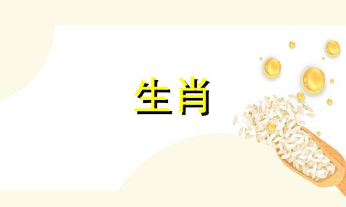 豪血寺一族十二生肖技能列表 豪血寺一族技能指南