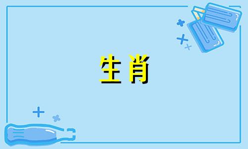 1982年出生的属狗男性与十二生肖的婚配表