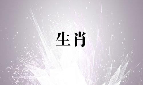 《十二生肖的故事》是一部深受儿童喜爱的电视剧，讲述了一个关于时间与记忆的古老传说。在这个故事中，随着世间人口的增加，