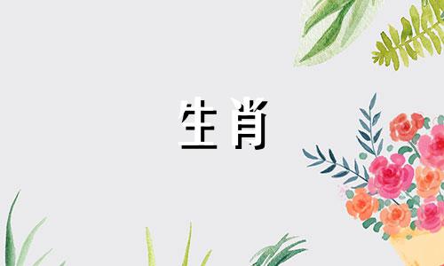 属鸡的与哪些生肖婚配最为合适 生肖婚配指南