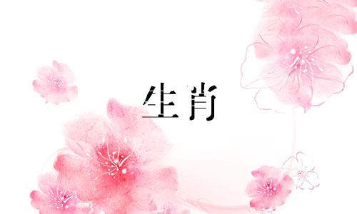 直播：十二生肖男女婚配表解读