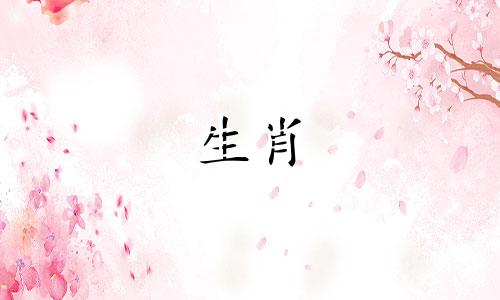 属龙男性的最佳婚配属相