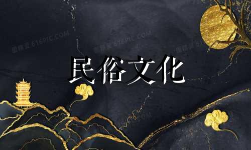 金鱼养护的风水指南：关键注意事项全解析