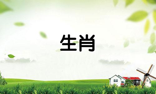 十二生肖情侣头像男士版:男女最佳配对指南