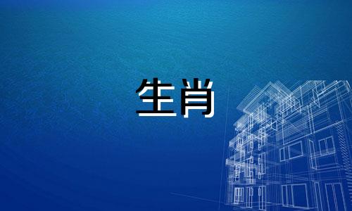 虎在十二生肖中的尺寸是多少?