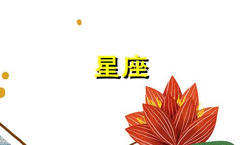 查询小学生的上升星座和月亮星座的方法