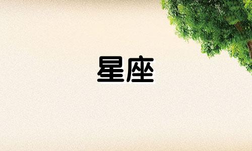 黄金圣斗士星座性格解析:探索十二位黄金圣斗士的性格特征与兴趣爱好