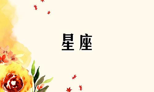 双子座在星座五宫的解析 探索星座与宫位之间的联系