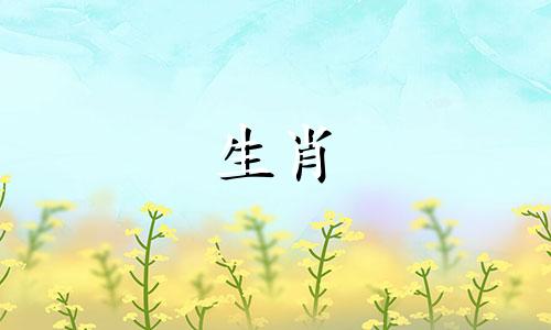 十二生肖幸福婚配图解：男女最佳搭配指南