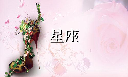 免费下载最新十二星座真人解析图 包含12星座的各项排名