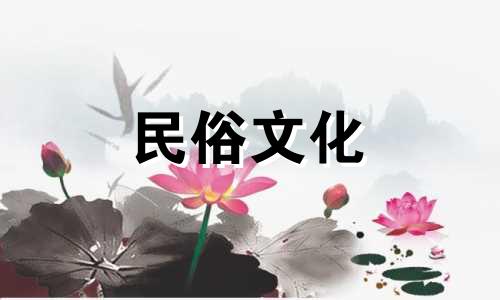 了解居家风水的必备小贴士：家居环境布局要点