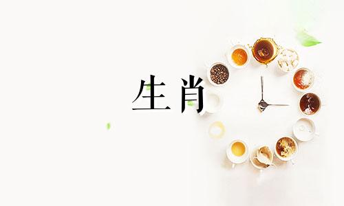 十二生肖财运运势分析 关于属相与命运的解读