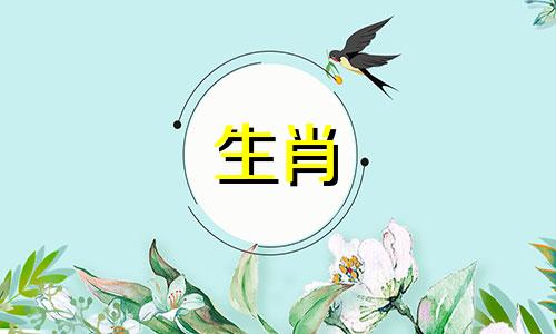 下属相十二生肖顺序表 查询12生肖的顺序