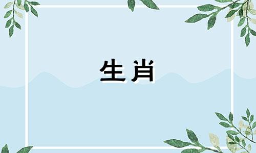 属兔女性的最佳生肖配对 适合与生肖兔女生结婚的生肖