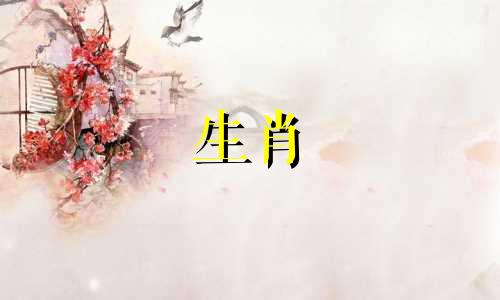 介绍《十二生肖》的演员阵容 江湖版