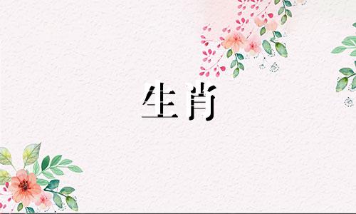 陈华深入讲述十二生肖中的马的故事 探索十二生肖马的起源