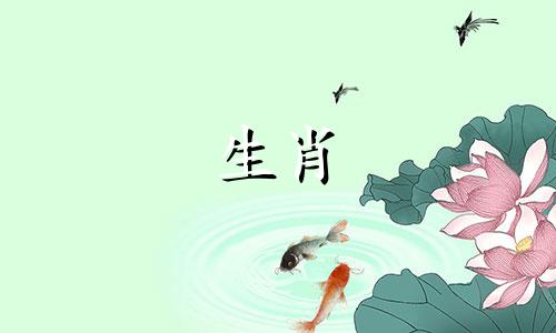 十二生肖中的守护神狗与猴之间的争执 属狗的人和属猴的人是否相合