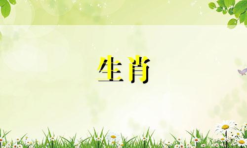 属虎的人与哪个生肖相冲？