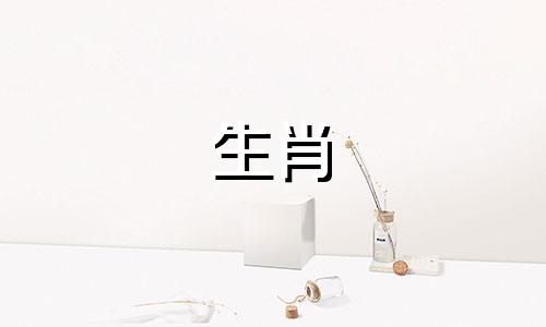 虎子十二生肖的故事：探索生肖虎的文化内涵